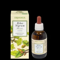 Integratore Ribes Nigrum