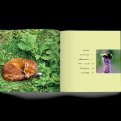 Libro Cercando Fiori