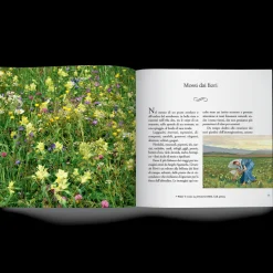 Libro Cercando Fiori