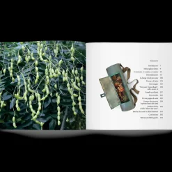 Libro I Semi della Vita