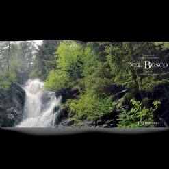 Libro Nel Bosco