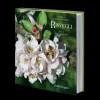 Libro Risvegli