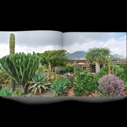 Libro Un Giardino Vicino all'Africa