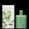 Profumo Frescaessenza